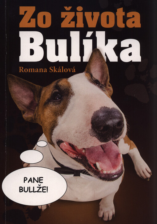 Zo života Bulíka