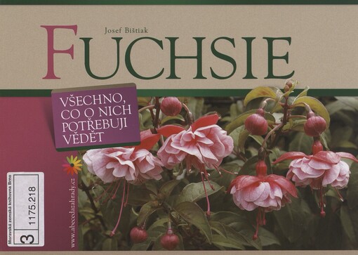 Fuchsie