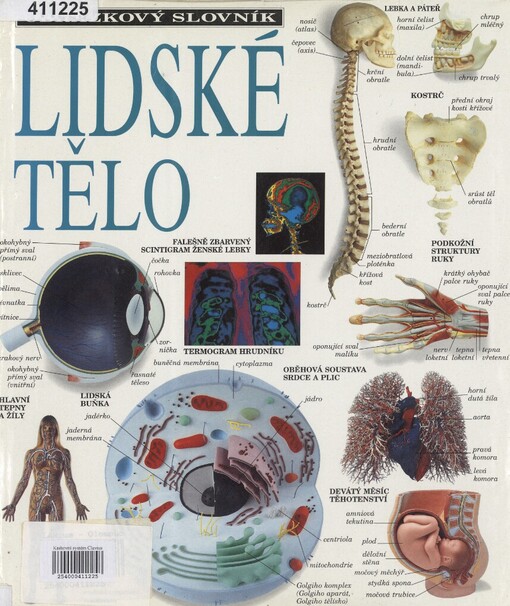 Lidské tělo