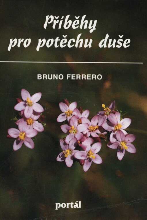 Příběhy pro potěchu duše, 2. vyd.