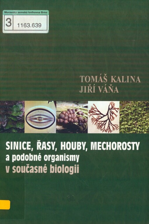 Sinice, řasy, houby, mechorosty a podobné organismy v současné biologii