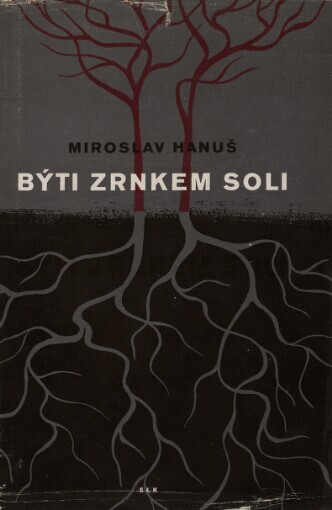 Býti zrnkem soli :román