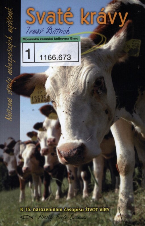 Svaté krávy