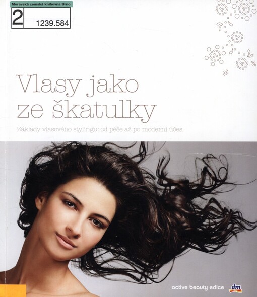 Vlasy jako ze škatulky: základy vlasového stylingu: od péče až po moderní účes