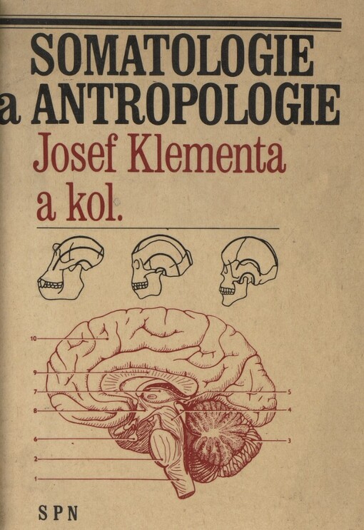 Somatologie a antropologie
