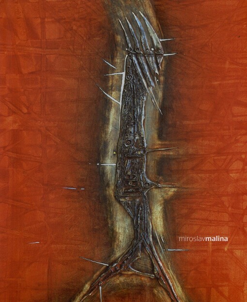 Miroslav Malina: tulák po hvězdách