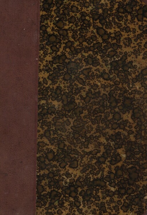 Vyhnaný dědic :román