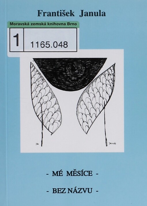 Mé měsíce: Bez názvu
