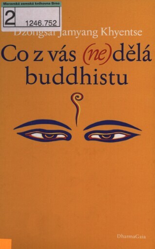Co z vás (ne)dělá buddhistu