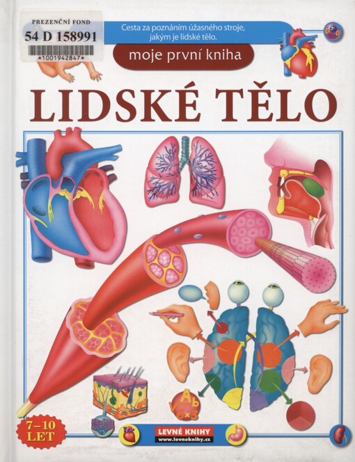 Lidské tělo