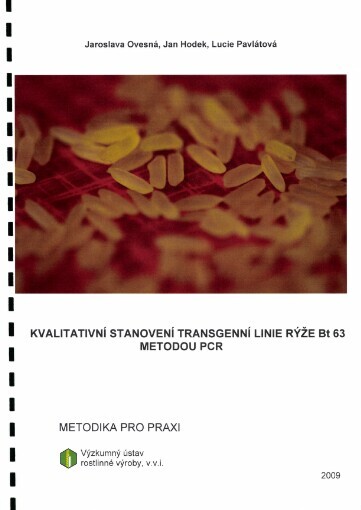 Kvalitativní stanovení transgenní linie rýže Bt 63 metodou PCR