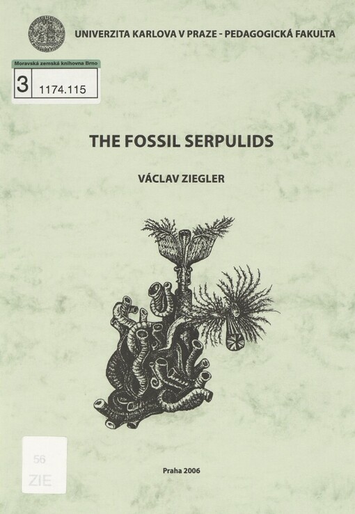 fossil serpulids