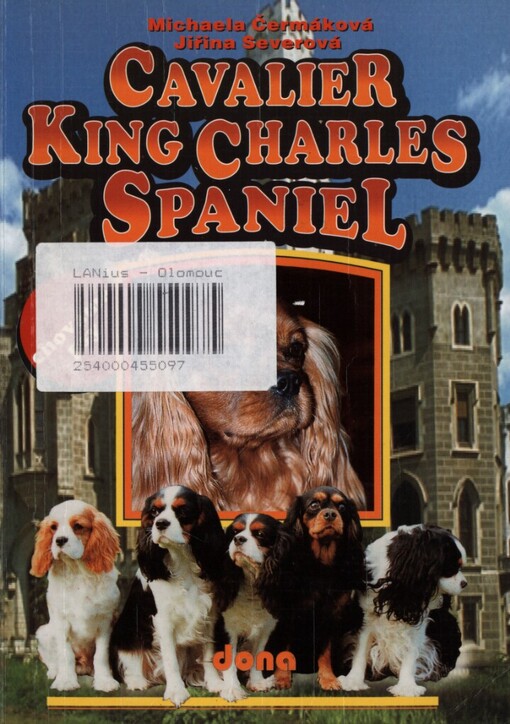 Cavalier King Charles Spaniel