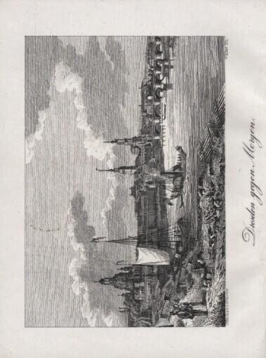 Elbethal: Oder: Panorama der Elbe und ihrer Ufer von Dresden bis Leitmeritz : historisch, statistisch und pittoresk beschrieben