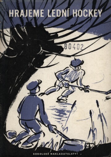 Hrajeme lední hockey