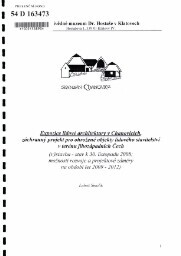 Expozice lidové architektury v Chanovicích, záchranný projekt pro ohrožené objekty lidového stavitelství v terénu jihozápadních Čech: (výstavba - stav k 30. listopadu 2008; možnosti rozvoje a projektové záměry na období let 2009-2012)