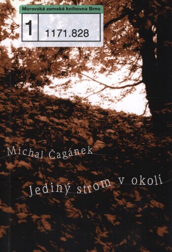 Jediný strom v okolí