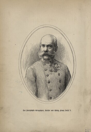 Unter den Fahnen: die Völker Österreich-Ungarns in Waffen