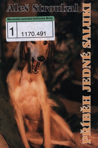 Příběh jedné saluki