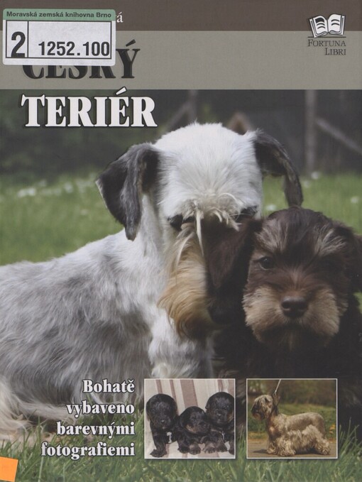 Český teriér