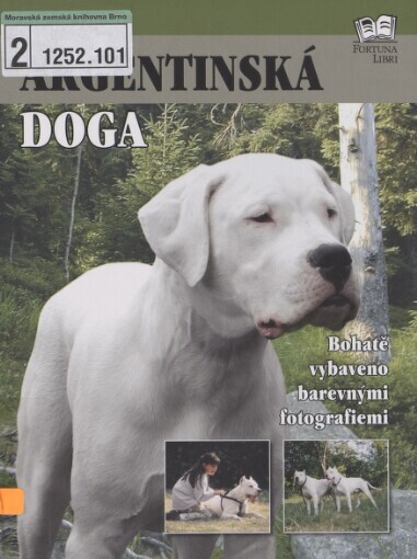 Argentinská doga