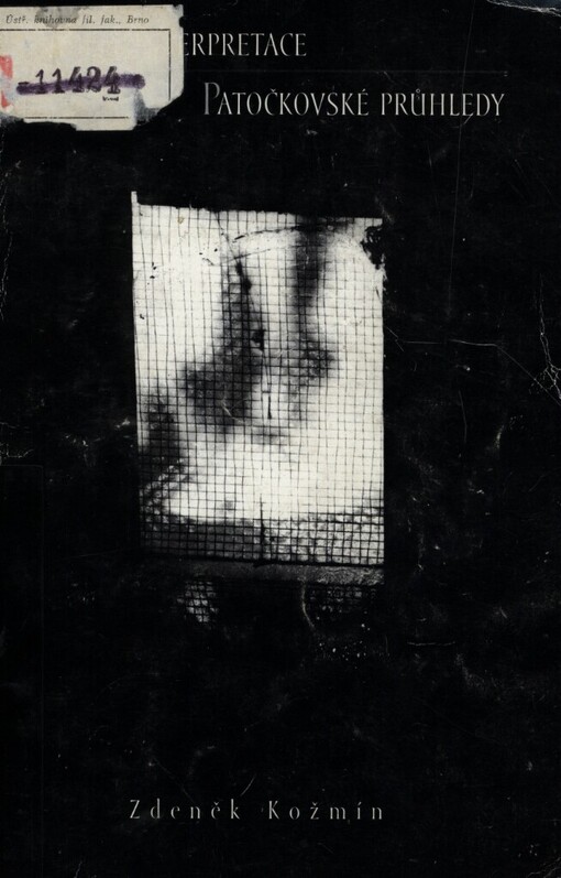 Modely interpretace: Patočkovské průhledy