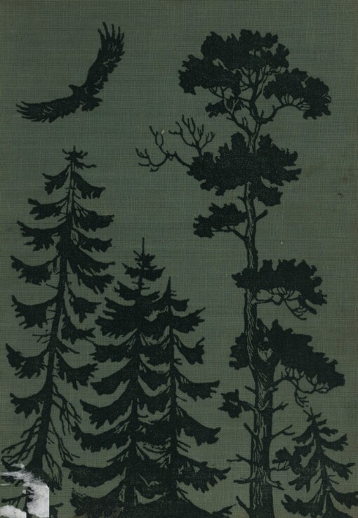 Kanada vonící pryskyřicí