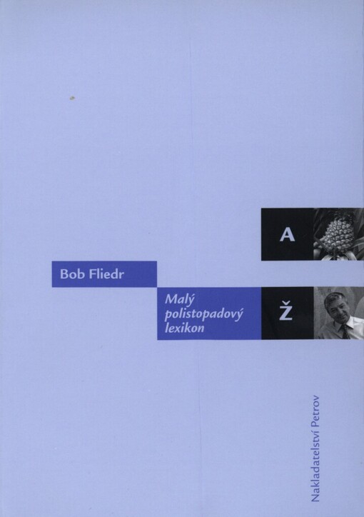Malý polistopadový lexikon
