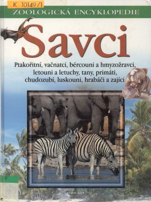 Savci