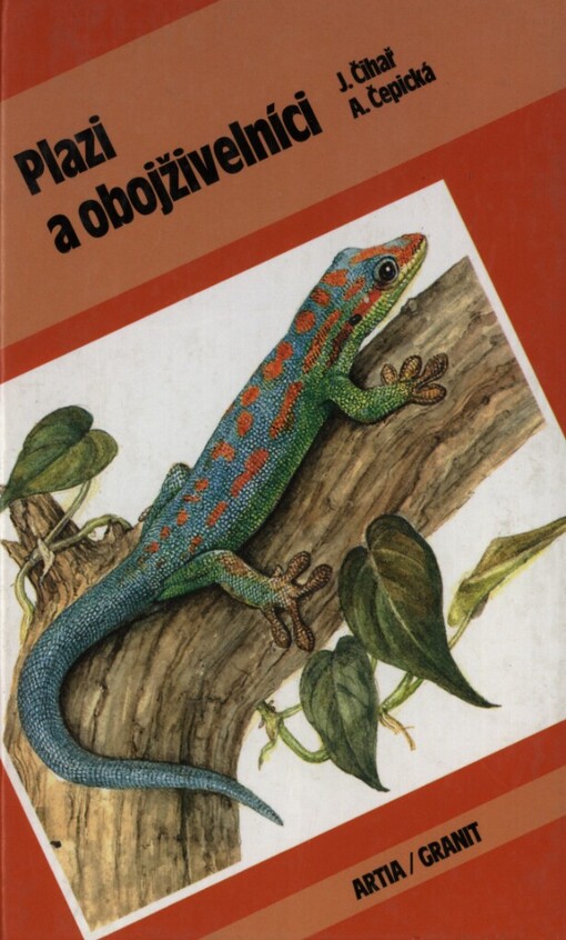 Plazi a obojživelníci