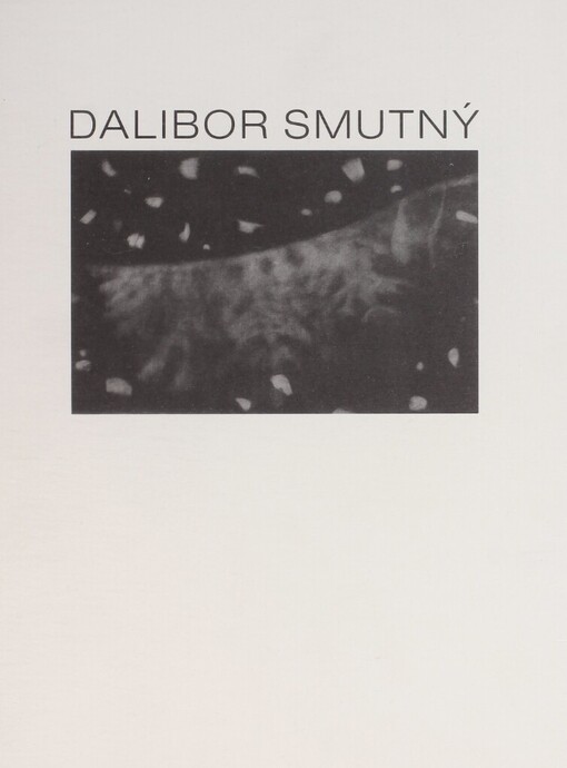 Dalibor Smutný: rasochy : Západočeská galerie v Plzni, září - říjen 2007