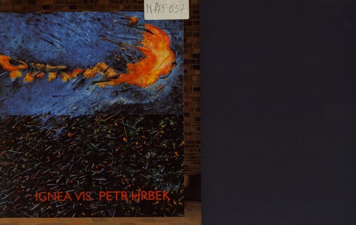 Petr Hrbek: ignea vis : [Galerie výtvarného umění v Mostě, Děkanský chrám Nanebevzetí Panny Marie : 17.12.2004-6.2.2005