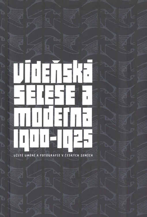 Vídeňská secese a moderna 1900-1925: užité umění a fotografie v českých zemích