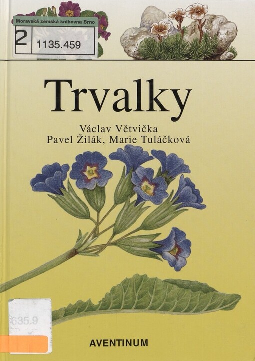 Trvalky