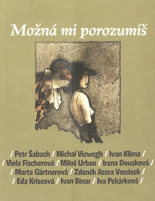 Možná mi porozumíš