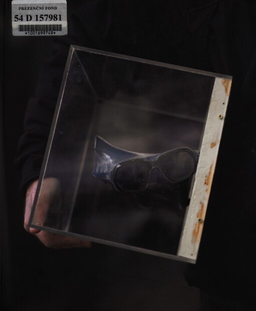 Lukáš Rittstein: vědomí věčně něžných já = awareness of eternally tender 