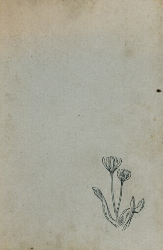 Poznáš je, když kvetou?