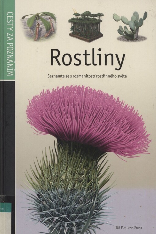 Rostliny: seznamte se s rozmanitostí rostlinného světa