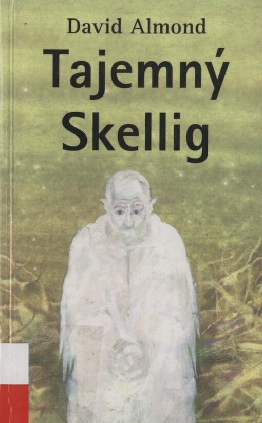 Tajemný Skellig