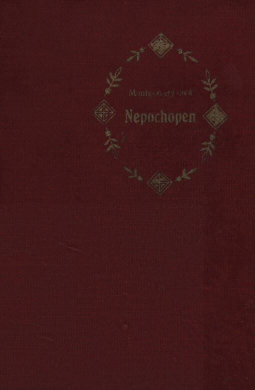 Nepochopen :povídka