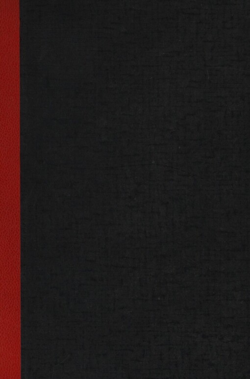 Zloděj kroků :román