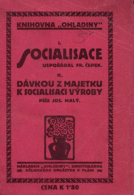 Socialisace