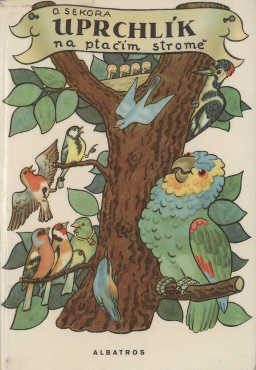 Uprchlík na ptačím stromě