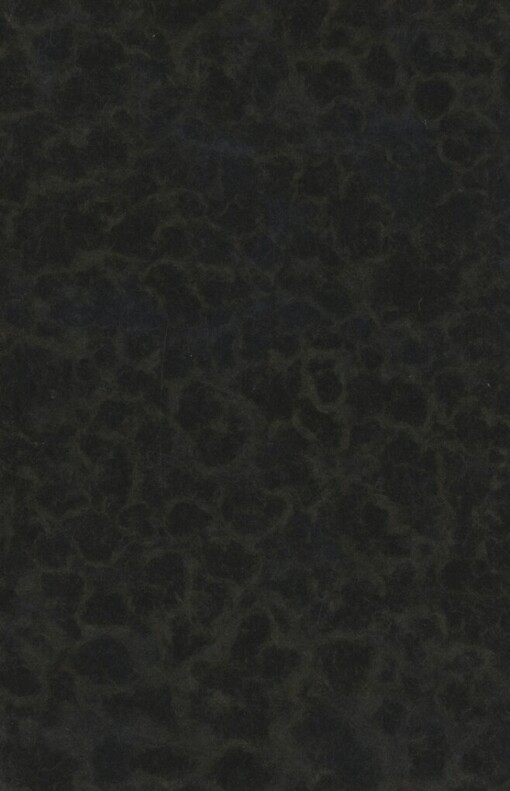 Jistebský či jistebnický?: Disput vedený v Lidových novinách mezi drem Františkem Trávníčkem ... a mezi P[etrem] B[ezručem]