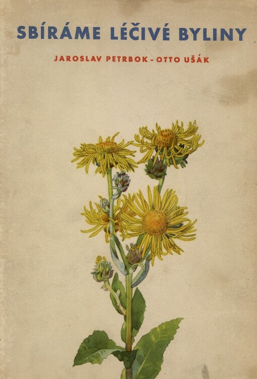 Sbíráme léčivé byliny