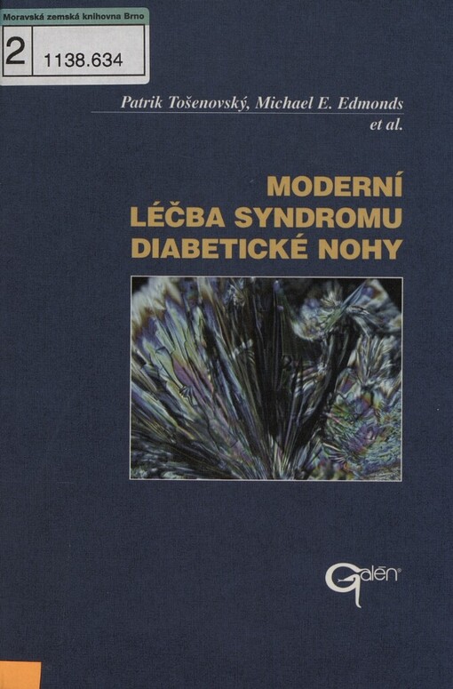 Moderní léčba syndromu diabetické nohy