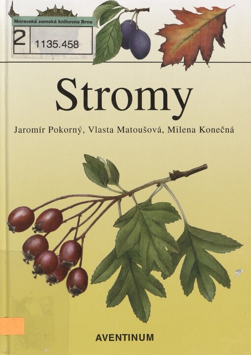 Stromy