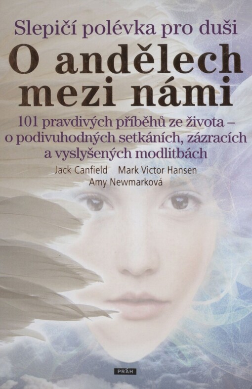 Slepičí polévka pro duši: o andělech mezi námi : 101 pravdivých příběhů ze života - o podivuhodných setkáních, zázracích a vyslyšených modlitbách