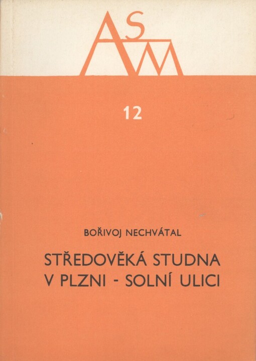 Středověká studna v Plzni-Solní ulici