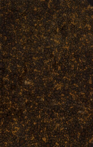 Trýzeň duše a jiné povídky